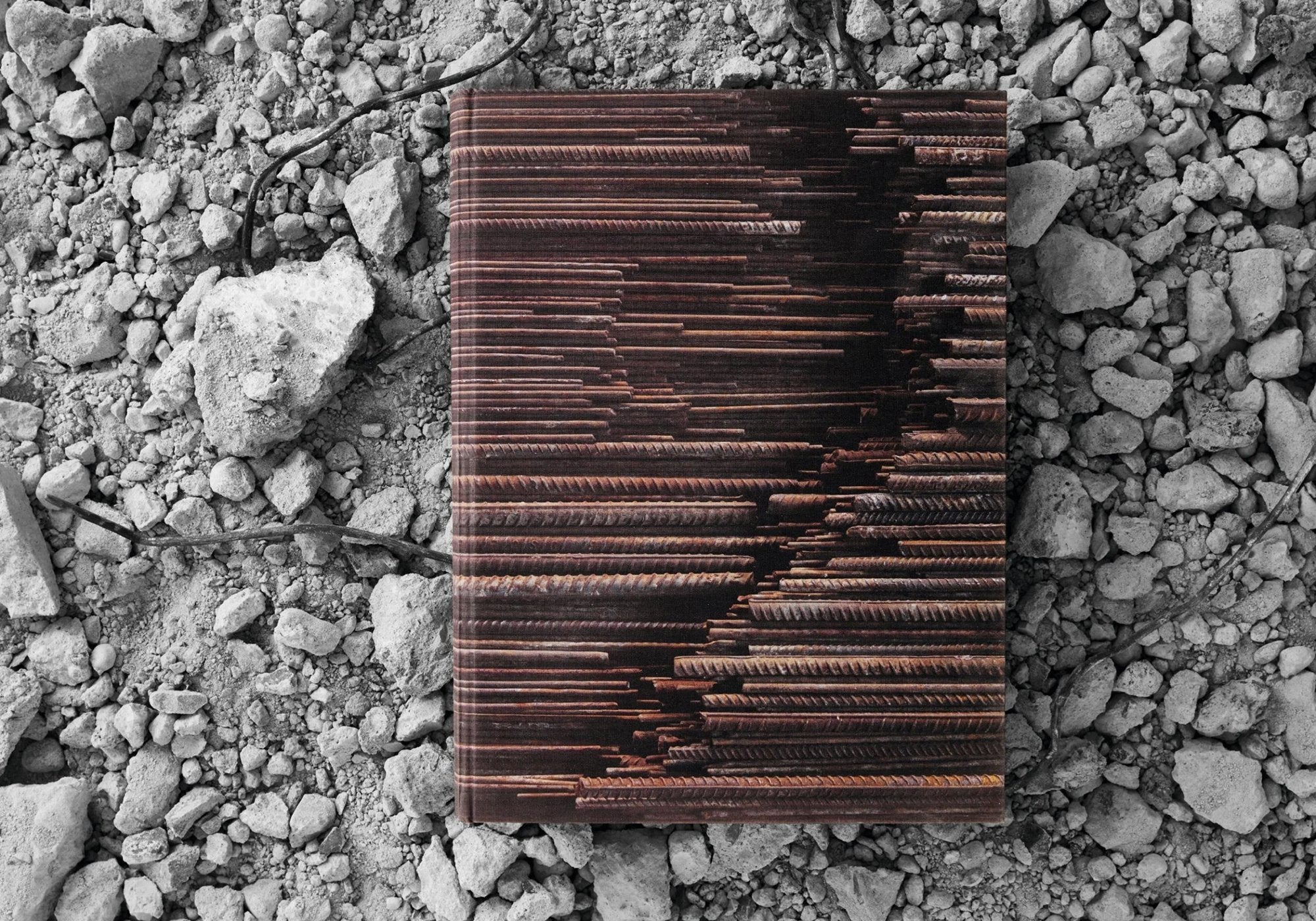 Ai Weiwei