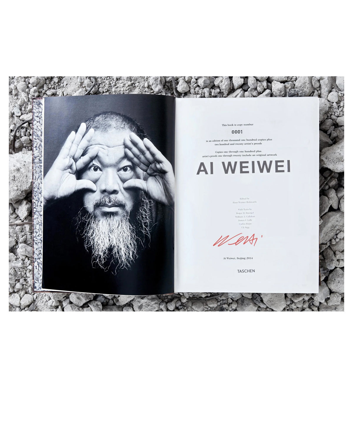 Ai Weiwei