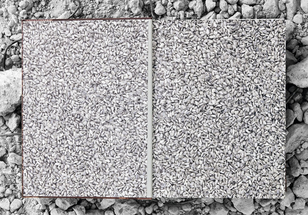 Ai Weiwei