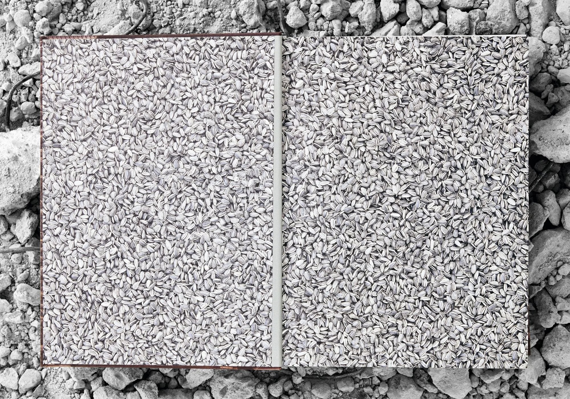 Ai Weiwei