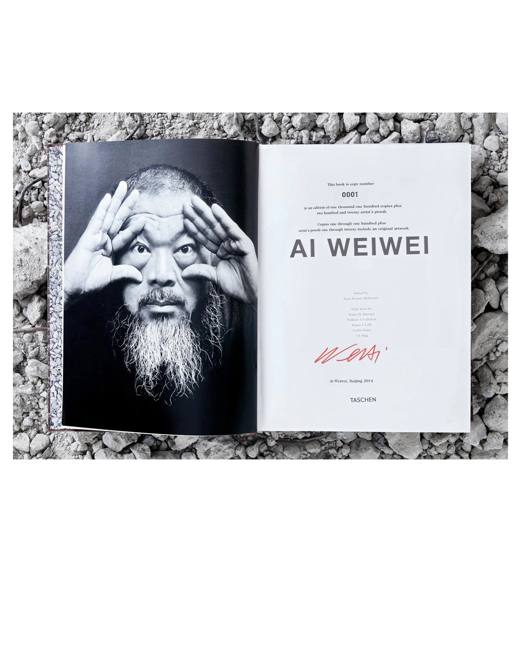 Ai Weiwei