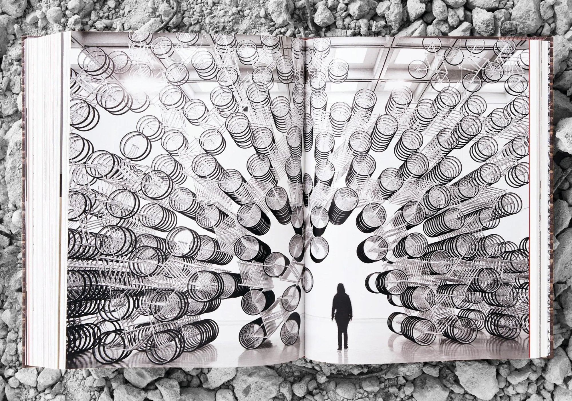 Ai Weiwei