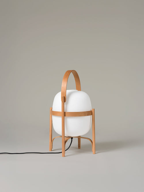 Cesta