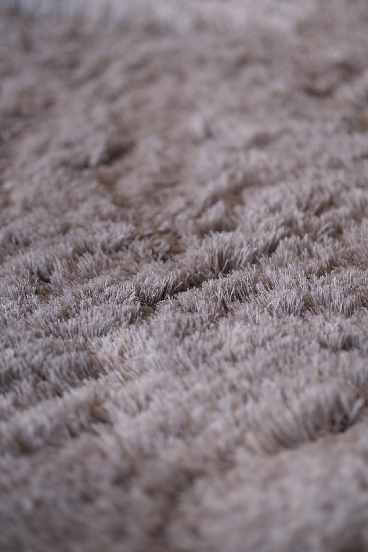 Wisp Rug