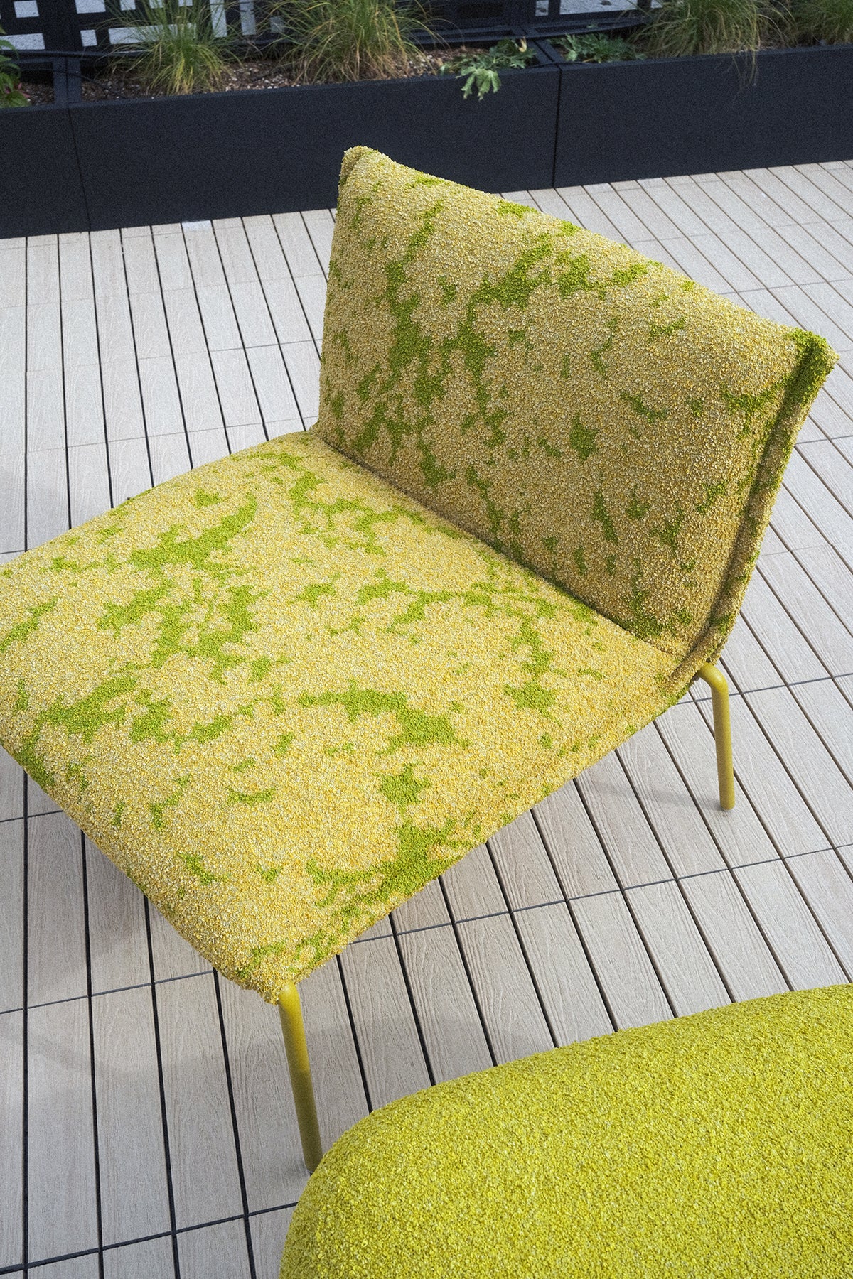Mae Lounge Chair