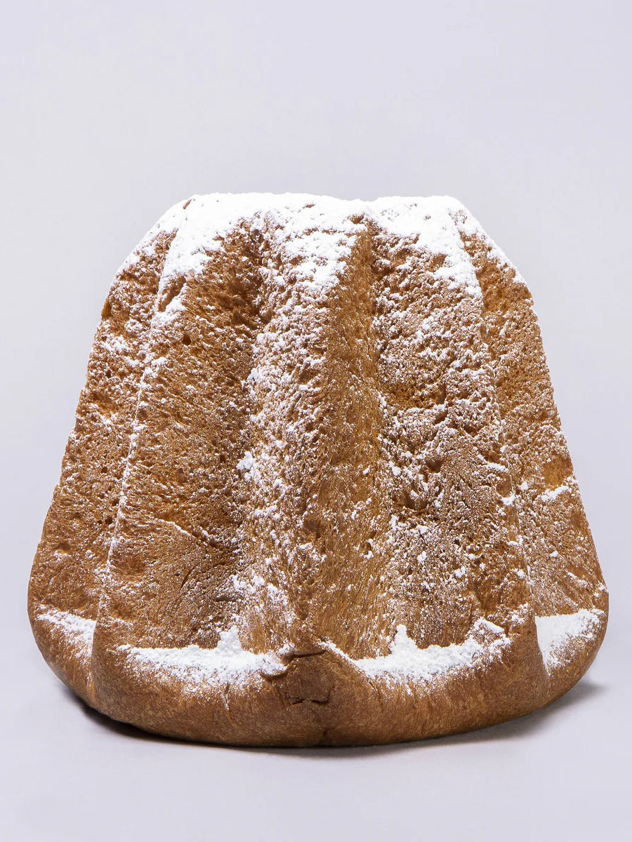 Olivieri 1882 Pandoro