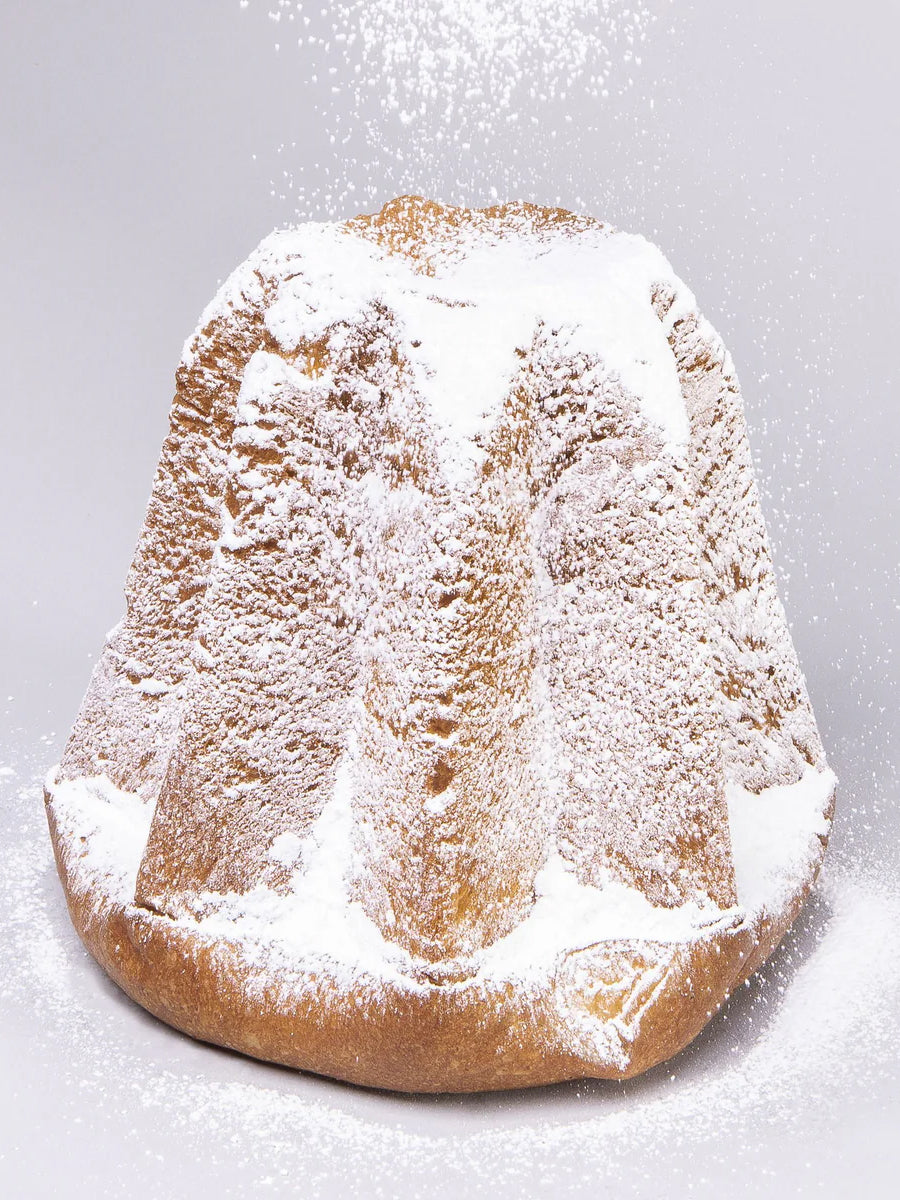 Olivieri 1882 Pandoro