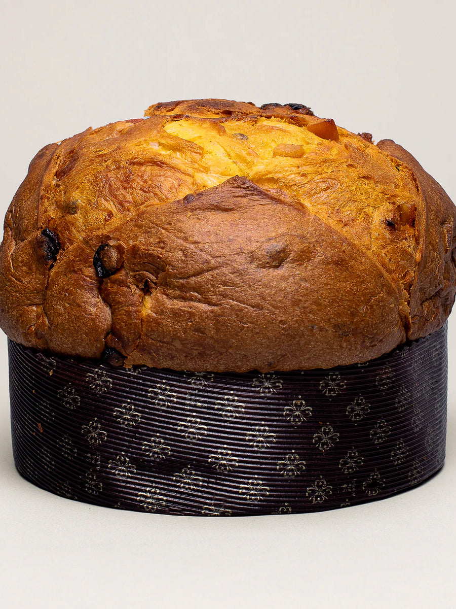 Panettone